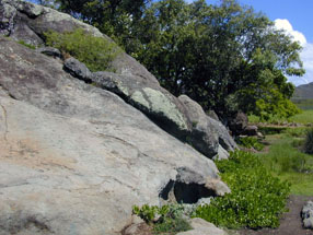 Edge of Kawai Nui Marsh at Na Pohaku o Hauwahine