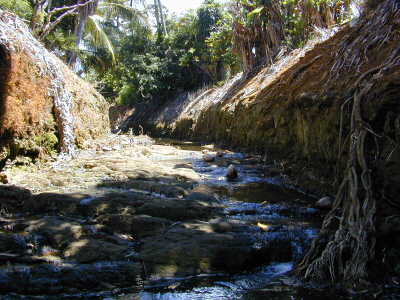 Photo 6. Kawa Stream up from Station 007