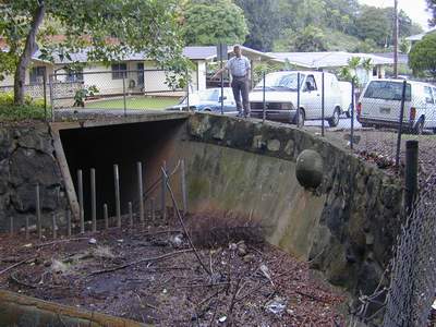 Photo 7. Drain inlet at Lipalu St.