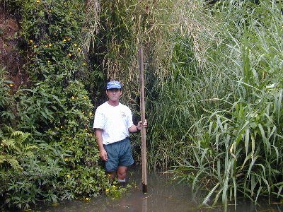 {Photo 8. Paul Chong of DOH in Kawa Stream below Station 5